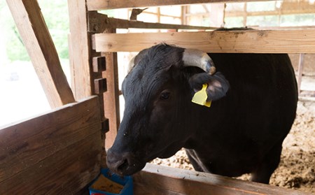 八幡平牛 ロース すきやき用 しゃぶしゃぶ用 300g 【肉の横沢】 ／ 牛肉 黒毛和牛 霜降り ブランド牛 銘柄牛 黒毛和種 牛 肉 稀少 すき焼き しゃぶしゃぶ 化粧箱入り ギフト 贈り物 贈答用 プレゼント グルメ スライス 薄切り 鍋 国産 お取り寄せ