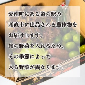 定期便 4回 旬の野菜セット 7-8種類前後 野菜 サラダ 新鮮 葉物 根菜 香味 定番 野菜 愛媛 愛南 野菜 愛南総研 道の駅MIC