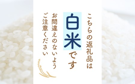  令和7年産 コシヒカリ 10kg 福井県産【白米】【人気品種】 [e30-c014]