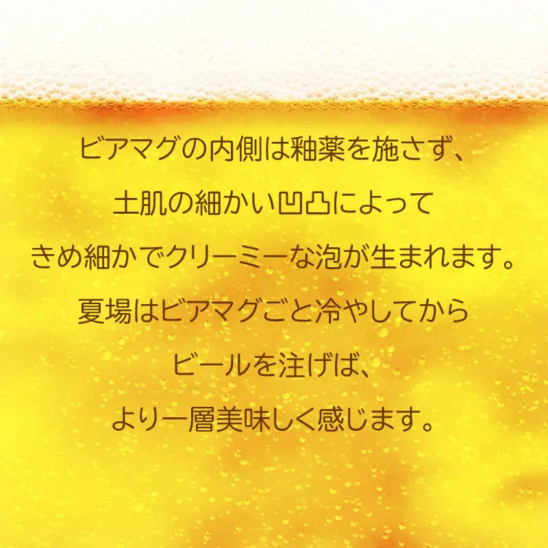 【越前焼】光窯 ビアマグ えくぼ ペア 桐箱入り（木灰 × 1個 ＆ 志野 × 1個）【 贈答品 マグカップ 陶器 福井県 伝統工芸品 】 [e25-a003]