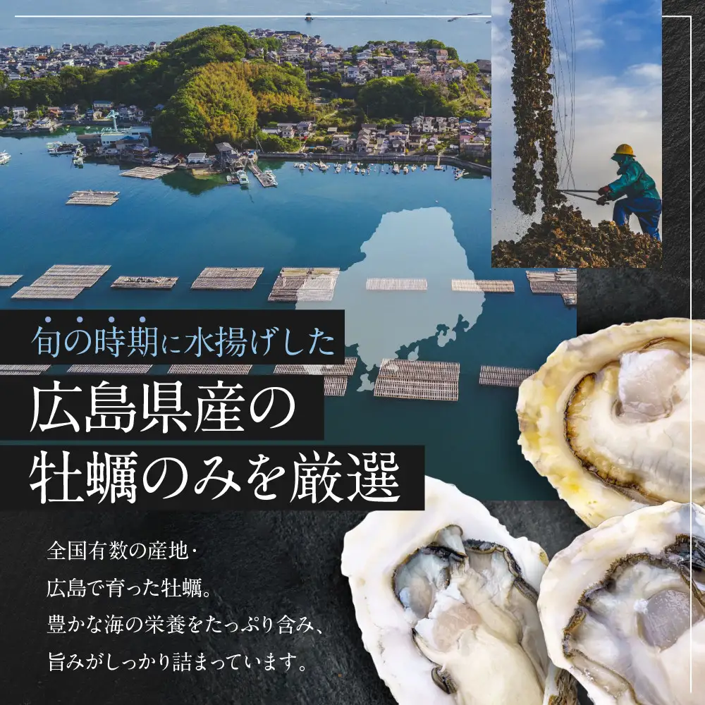 広島県産冷凍スチーム牡蠣 2L 約1kg