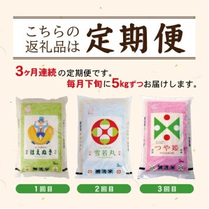 SE0591　【3回定期便】無洗米 味比べ　5kg×3回(計15kg)　はえぬき、雪若丸、つや姫 TO