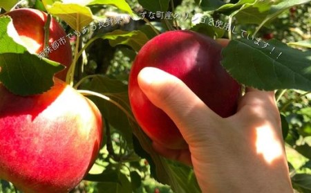 フレキシー手作りジャム【シナモン風味のりんごバター】160g×3本