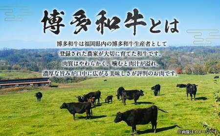 【博多和牛】もつ鍋用 和牛ホルモン500g (自家製ホルモン焼きのたれ付き)