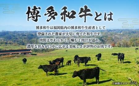 【博多和牛】サーロインステーキ 250g×3枚 (自家製 ジャポネソース付)