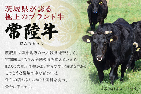 牛肉 切り落とし 1kg 常陸牛 