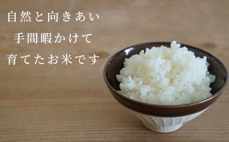 《令和7年産》春の米　玄米　3kg ／ 米 お米 こめ コメ ごはん 無農薬 農薬不使用 春の米 玄米 令和7年産 3kg 千葉県 東庄町 春子ファーム 産地直送 産直 送料無料