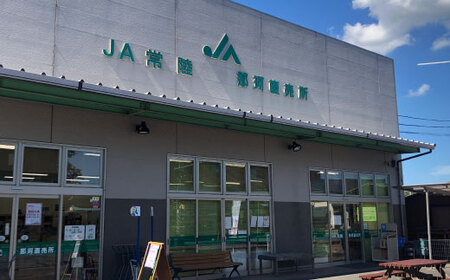 那珂市のお米（今摺米）コシヒカリ５kg（令和7年度米）