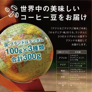 焙煎士お任せ100g×3種類セット[豆のまま]  受注自家焙煎 珈琲豆 コーヒー豆