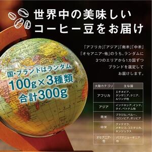 焙煎士お任せ100g×3種類セット[粉]  受注自家焙煎 珈琲粉 コーヒー粉