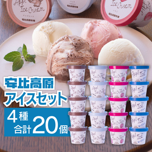 【安比高原】 アイスセット 20個入り（M-20Y）／ アイス アイスクリーム カップ カップアイス デザート スイーツ 食べ比べ 味比べ 詰合せ 詰め合わせ セット ストロベリー いちご 苺 イチゴ チョコレート チョコ ヨーグルト バニラ 贈り物 APPI 安比高原牧場