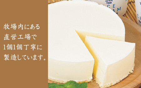【安比高原】 レアチーズケーキS 300g×2個 ／ チーズケーキ レア ケーキ 冷凍ケーキ ホールケーキ スイーツ グルメ デザート ちーずけーき ケーキ スイーツ デザート お取り寄せ バレンタイン ホワイトデー クリスマス APPI 安比高原牧場