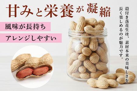 【ふるなびWEEK対象】落花生 250g×2袋 500g 素煎り 