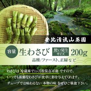 岩手県産 生わさび 使い切りサイズ 200g 【安比清流山葵園】 ／ 山葵 ワサビ わさび 薬味 国産 八幡平市産 産地直送 新鮮 調味料 刺身 蕎麦 和え物 漬け物 刻み おろし 辛味 お寿司 そば 肉の薬味 魚の薬味 そばの薬味 おすすめ オススメ