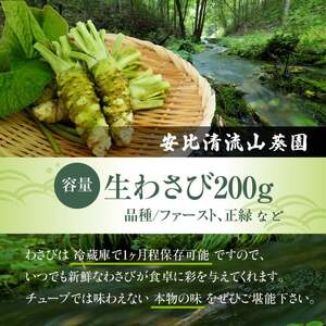 岩手県産 生わさび 200g 【安比清流山葵園】 ／ 山葵 ワサビ わさび 薬味 国産 八幡平市産 産地直送 新鮮 調味料 刺身 ステーキ お肉 蕎麦 和え物 漬け物 刻み おろし 辛味 和食 お寿司 そば 肉の薬味 魚の薬味 そばの薬味 料理 おすすめ オススメ