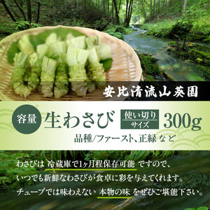 岩手県産 生わさび 使い切りサイズ 300g 【安比清流山葵園】 ／ 山葵 ワサビ わさび 薬味 国産 八幡平市産 産地直送 新鮮 調味料 刺身 蕎麦 和え物 漬け物 刻み おろし 辛味 お寿司 そば 肉の薬味 魚の薬味 そばの薬味 おすすめ オススメ