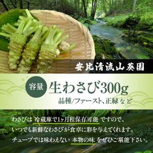 岩手県産 生わさび 300g 【安比清流山葵園】 ／ 山葵 ワサビ わさび 薬味 国産 八幡平市産 産地直送 新鮮 調味料 刺身 ステーキ お肉 蕎麦 和え物 漬け物 刻み おろし 辛味 和食 お寿司 そば 肉の薬味 魚の薬味 そばの薬味 料理 おすすめ オススメ