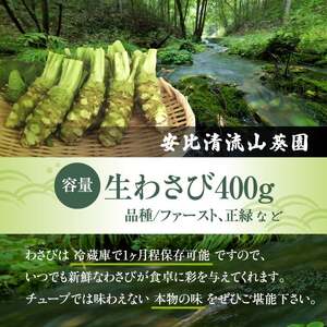 岩手県産 生わさび 400g 【安比清流山葵園】 ／ 山葵 ワサビ わさび 薬味 国産 八幡平市産 産地直送 新鮮 調味料 刺身 ステーキ お肉 蕎麦 和え物 漬け物 刻み おろし 辛味 和食 お寿司 そば 肉の薬味 魚の薬味 そばの薬味 料理 おすすめ オススメ