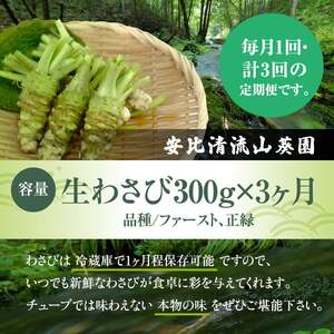 岩手県産 生わさび 300g 定期便3ヶ月 【安比清流山葵園】 ／ 山葵 ワサビ わさび 薬味 国産 八幡平市産 産地直送 新鮮 調味料 お肉 蕎麦 和え物 漬け物 刻み おろし 辛味 お寿司 そば 肉の薬味 魚の薬味 そばの薬味 おすすめ オススメ