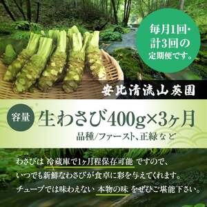 岩手県産 生わさび 400g 定期便3ヶ月 【安比清流山葵園】 ／ 山葵 ワサビ わさび 薬味 国産 八幡平市産 産地直送 新鮮 調味料 お肉 蕎麦 和え物 漬け物 刻み おろし 辛味 お寿司 そば 肉の薬味 魚の薬味 そばの薬味 おすすめ オススメ