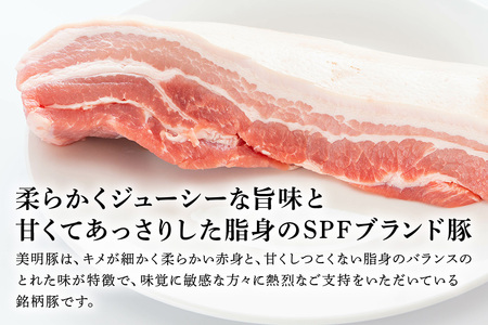 豚バラ スライス 1.4kg 美明豚 