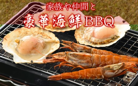 海鮮 BBQ おつまみセット「越前えび ＆ 片貝ほたて」約4～5人前（越前えび500g 片貝ほたて10枚）【ホタテ がまえび】 [e04-a063]