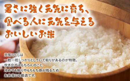 「原田さんちのお米」元気つくし 米 10kg お取り寄せグルメ お取り寄せ 福岡 お土産 九州 ご当地グルメ 福岡土産 取り寄せ 福岡県 食品