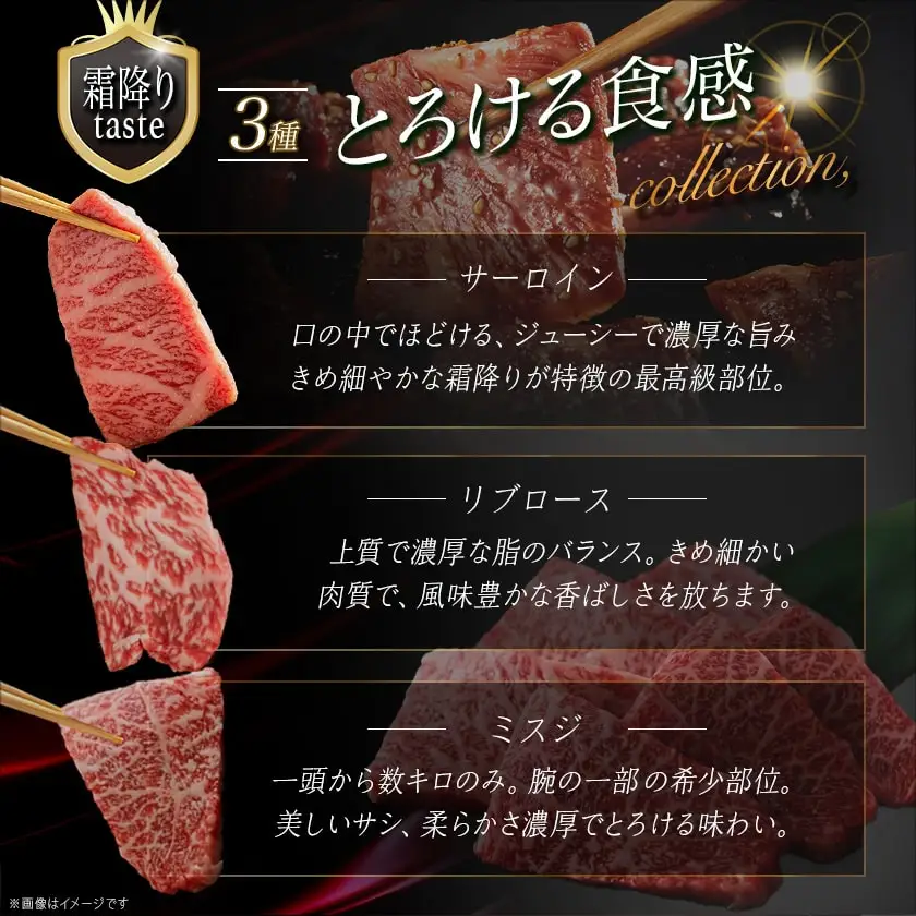 【国産黒毛和牛】焼肉食べ比べ 9種盛 各種80g〔AE-E902〕_(都城市) 牛肉