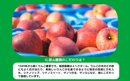 【 品種おまかせ 】 季節のりんごジュース 1000ml × 6本 サンつがる シナノスイート サンふじ 果汁100% 原山農園 沖縄県への配送不可 飲料 果汁飲料 りんご リンゴ 林檎 ジュース 信州 長野県 飯綱町 [0279]