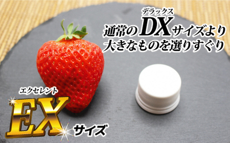 【先行予約】1月より順次発送！「博多あまおう」EX　贈答用化粧箱　約450g 1箱【ほたるの里】_HA0752