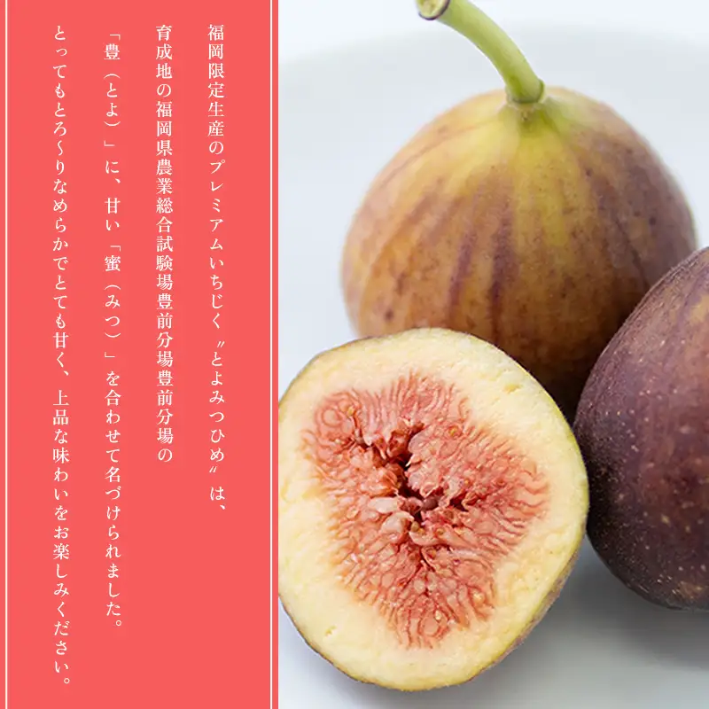 福岡限定!ブランドいちじく「とよみつひめ」約300g×4パック 4A15