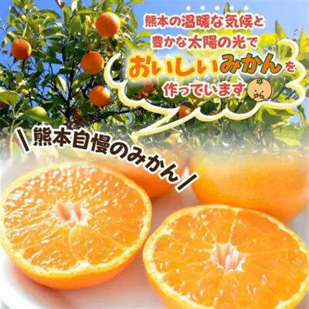益城町産　温州みかん　約10kg【1352229】