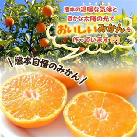益城町産　温州みかん　約5kg【1352231】