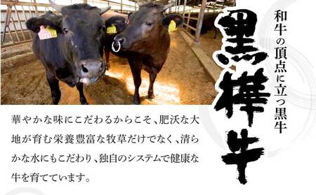 ステーキ 牛肉 計1kg （100ｇ10枚）黒毛和モモステーキ ビーフモモステーキ 牛モモステーキ 牛肉モモステーキ