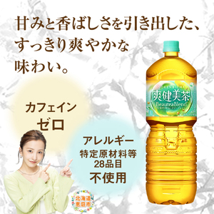 『定期便：全2回』爽健美茶2L×6本【38001902】