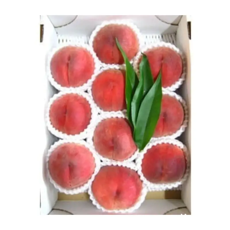 No.2320【限定100箱】吟壌桃「あかつき」約3kg【2026年発送】