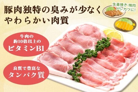 肥前さくらポーク詰合せCセット(さくらポークとんかつ5枚・生姜焼き500g・焼肉用300g) K012049