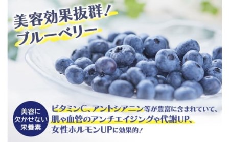ブルーベリー狩り体験チケット（大人2名様分）ブルーベリー ブルーベリー狩り フルーツ 果物 フルーツ狩り チケット 体験 ジュース ビタミンE アントシアニン 目にいい 健康 美容 ギフト 贈り物 茨城県産 人気 プレゼント 楽しい 季節 農園 果物狩り 9-Q