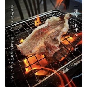 広島名物コウネ巻きハンバーグ 10個 コウネスライス500g