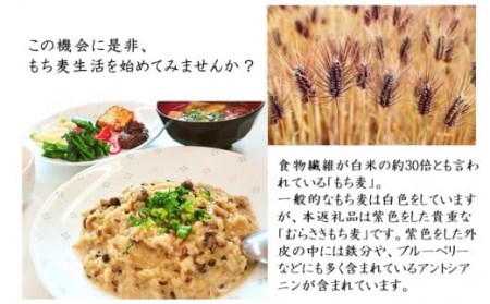 そのまま使える！蒸しむらさきもち麦150g_2104R