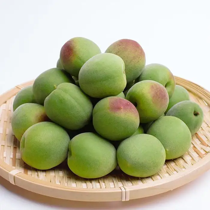 厳選 紀州南高梅(青梅)5kg+250g（傷み補償分）【梅干し・梅酒・梅ジュース】［IKE77］