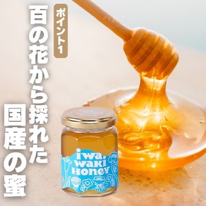 ＜2026年6月中旬以降発送　先行予約受付中！＞ 岩湧ハニー 純粋百花はちみつ 160g×2本セット 国産天然はちみつ 大阪府 河内長野市 ギフト 百花蜜 ビタミン ミネラル 酵素 パンケーキ ヨーグルト アサイー 朝食 おやつ 手土産 コーヒー 紅茶 ドリンク 珈琲 プレゼント 岩湧山 トースト はちみつ 蜂蜜 ハチミツ