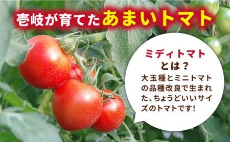 あま壱岐 ミディトマト 約48粒  《壱岐市》【壱岐の潮風】 [JAE009] トマト ミディトマト 野菜 ギフト プレゼント 贈り物 15000 15000円