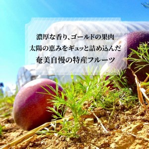 【 2026年 先行予約 】 奄美 の パッションフルーツ 2kg A041-001 パッション フルーツ フルーツ 果物 くだもの 訳あり 訳アリ ワケアリ デザート 朝食 昼食 期間限定 限定 奄美大島産 奄美産 美味しい さわやか 甘酸っぱい 南国フルーツ まるか農園 ふるさと納税 鹿児島 おすすめ ランキング プレゼント ギフト