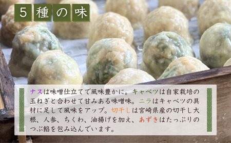 【信州名物】おやき 5種 10個 薄皮おやき|おやき