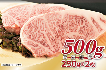 艶さし！佐賀牛サーロインステーキ 250g×2枚(合計500g) 肉 牛肉 ステーキ 焼肉 BBQ バーベキュー ギフト アウトドア