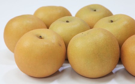山形産 和梨(あきづき) 秀 3kg(6～12玉) 【令和8年産先行予約】FU22-010 くだもの 果物 フルーツ 山形 山形県 山形市 2026年産