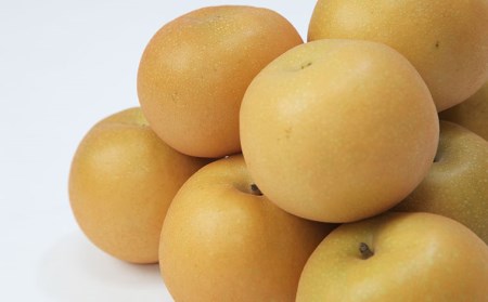 ☆フルーツ王国山形☆和梨(あきづき) 秀品 3kg【令和8年産先行予約】FU22-028 くだもの 果物 フルーツ 山形 山形県 山形市 2026年産