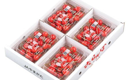 【定期便3回】山形市の果物こだいすこだまかんねえは 【令和8年産先行予約】FU24-615 くだもの 果物 フルーツ 山形 山形県 山形市 人気 2026年産