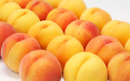 山形の桃 3kg(6～12玉)[白桃・黄桃詰め合わせ(柔らかくなる桃)] 【令和8年産先行予約】FU22-048